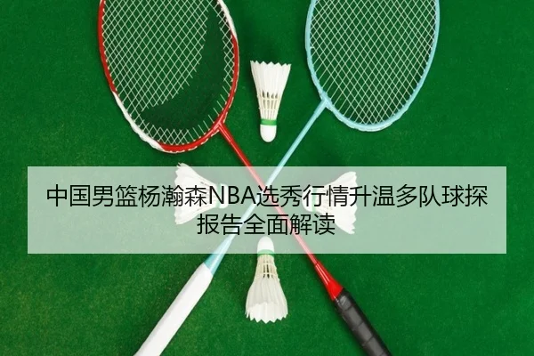 中国男篮杨瀚森NBA选秀行情升温多队球探报告全面解读